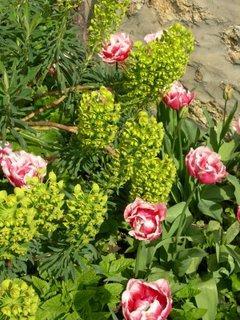 Bouquet de fleurs en direct de Saint-Jean-de-Beauregard (91)