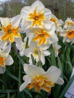 Bouquet de fleurs en direct de Saint-Jean-de-Beauregard (91) Bouquet de fleurs en direct de Saint-Jean-de-Beauregard (91)