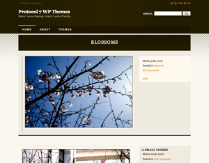 Thème WordPress Professor