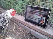 2013, l’année tablette