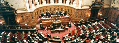 Senat_loups