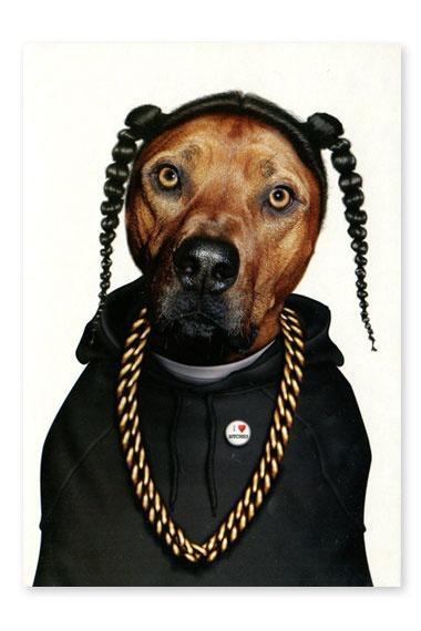 Le chien s'invite dans la mode ! Le chien s'invite dans la mode !