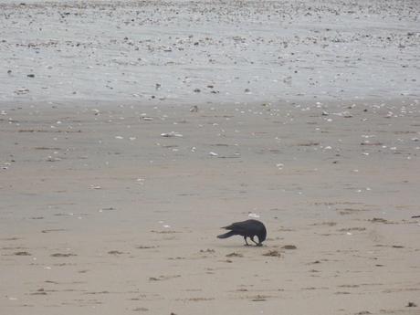 oui, et à part ça?