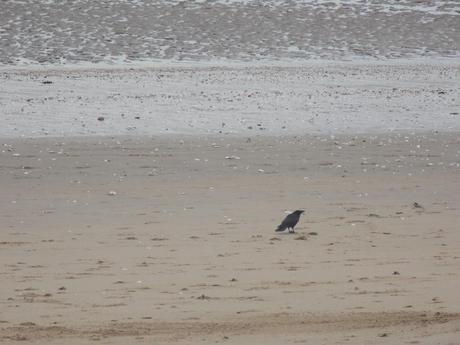 oui, et à part ça? oui, et à part ça?