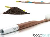 BogoBrush, enfin brosse dents écolo