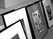 Montage exposition Cognac