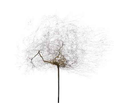 Bertrand Flachot Bertrand Flachot