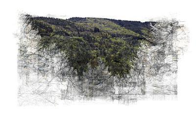 Bertrand Flachot Bertrand Flachot