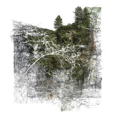 Bertrand Flachot Bertrand Flachot