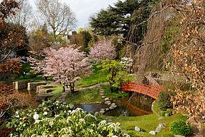 English: Albert Kahn museaum - Japanese garden...