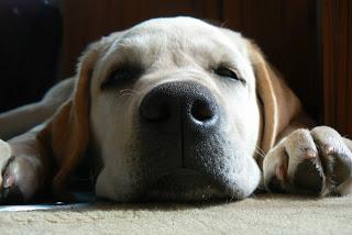 Comment faire silence ?