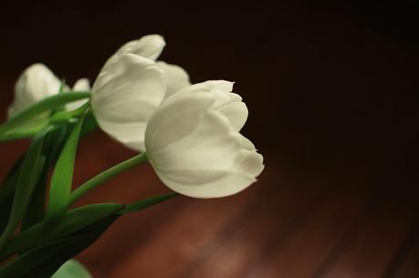 Quelques détails de chez moi