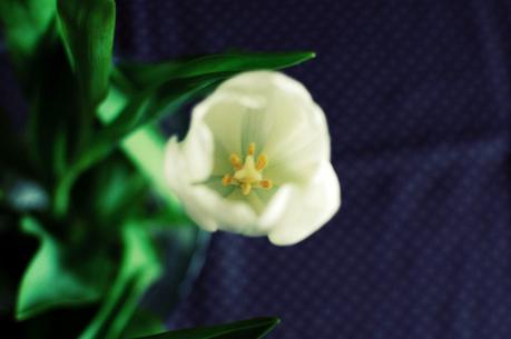 Quelques détails de chez moi