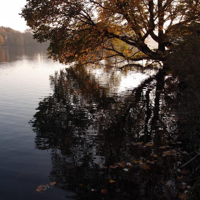 La vie qui s'accroche