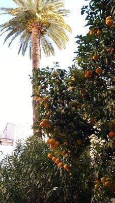 Quand les racines pourrissent, l'arbre meurt...