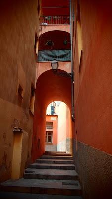 Quand les racines pourrissent, l'arbre meurt...