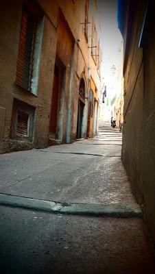 Quand les racines pourrissent, l'arbre meurt...