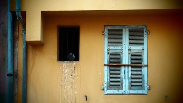 Quand les racines pourrissent, l'arbre meurt...