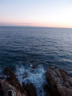 Quand les racines pourrissent, l'arbre meurt...