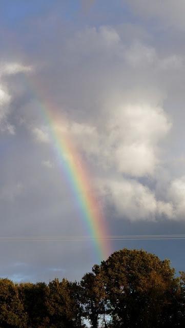 Nanowrimo : Bilan d'un mois de novembre d'écriture !