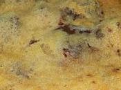 york times chocolate chip cookies jacques torres