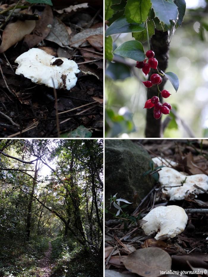 Risotto crémeux aux pieds de mouton et au romarin.