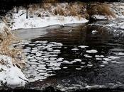 jours c'est quand même beau l'hiver!