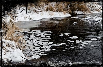 Il y a des jours où c'est quand même beau l'hiver!