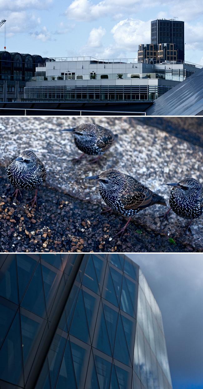 London Calling. Fernandez & Wells, les parcs et les musées.