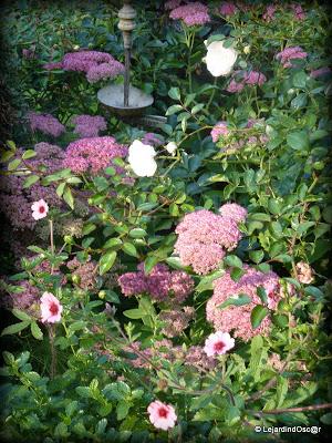 Septembre au jardin...