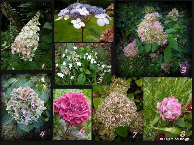 Septembre au jardin...