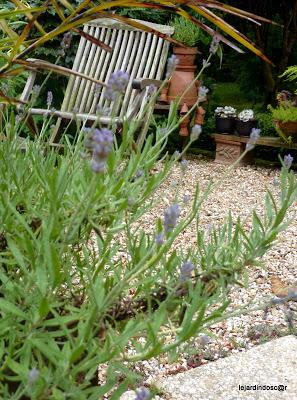 Merci encore une fois à Nikki de nous permettre d'aliment...