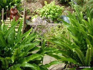 Merci encore une fois à Nikki de nous permettre d'aliment...