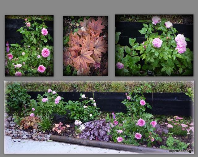 Merci encore une fois à Nikki de nous permettre d'aliment...