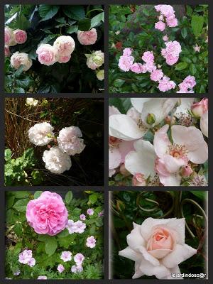 Merci encore une fois à Nikki de nous permettre d'aliment...