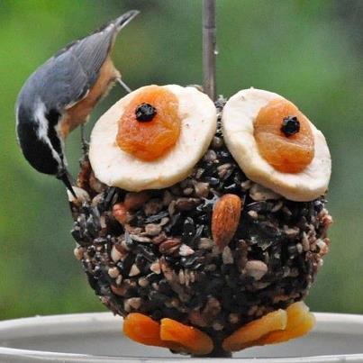 Photo : Dopo tanta pioggia..forse forse...buon venerdi ' a tutti:)))