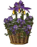 Image hébergée par servimg.com