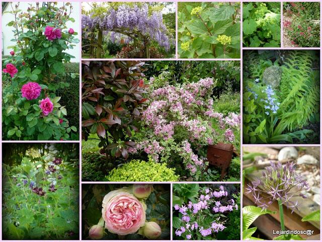 Toujours grâce à Nikki , les mois défilent et nous voici ...