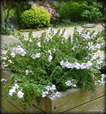 Toujours grâce à Nikki , les mois défilent et nous voici ...