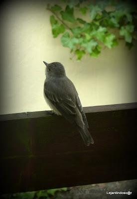 Toujours grâce à Nikki , les mois défilent et nous voici ...