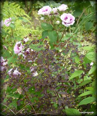 Toujours grâce à Nikki , les mois défilent et nous voici ...