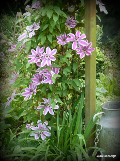 Toujours grâce à Nikki , les mois défilent et nous voici ...