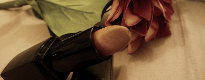 Mes préférences du mois de novembre: zOOm !