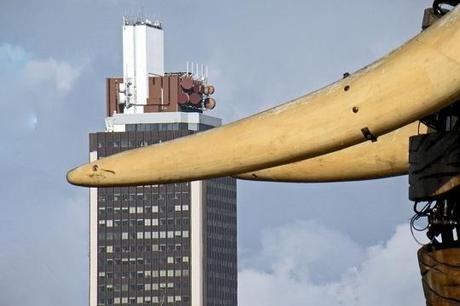 tour-d-ivoire-430085