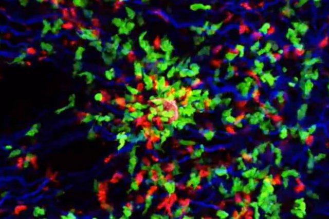 Image tirée de la vidéo montrant une réponse... (IMAGE YOUTUBE)