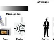 hollandais cuisent verts micro-ondes…