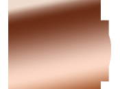 Réappropriation mots: L’Ⓐnarchisme