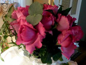 noix aux noisettes 006