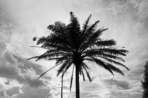 Crédit Ph. D Masson