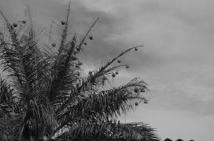 Crédit Ph. D Masson